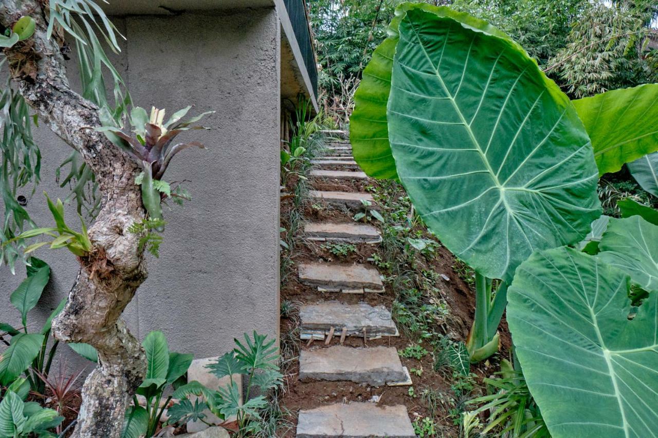 Gek House أوبود المظهر الخارجي الصورة